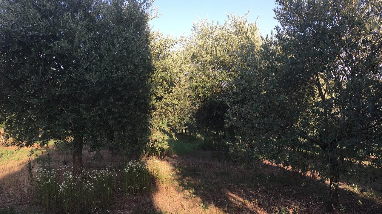 Casa Vacanze Soleluna Montichiari Buitenkant foto